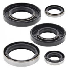 ENGINE OIL SEAL KIT WINDEROSA 822129