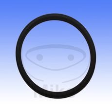 IŠMETIMO TARPIKLIS ATHENA M753504500094 O-RING 52X52X3.5 MM