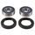 Wheel Bearing Kit All Balls Racing WB25-1738