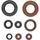 Engine Oil Seal Kit WINDEROSA 822388