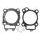 Top end gasket kit WINDEROSA TEGS 810274