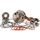 Bottom end kit HOT RODS CBK0053