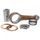 Connecting rod HOT RODS 8666