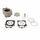 Cilindro komplektas ATHENA P400210100049 Standard Bore d 76,8 mm, 250 cc