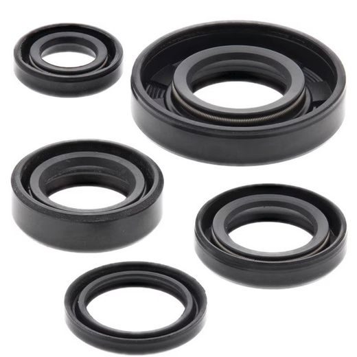 ENGINE OIL SEAL KIT WINDEROSA 822222