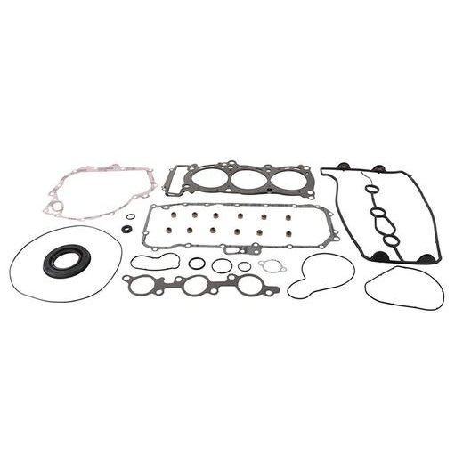 COMPLETE GASKET KIT WITH OIL SEALS WINDEROSA CGKOS 711317
