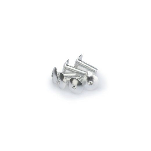 VARŽTAI PUIG ANODIZED 0657P, SIDABRINĖS SPALVOS M6 X 20MM (6PCS)