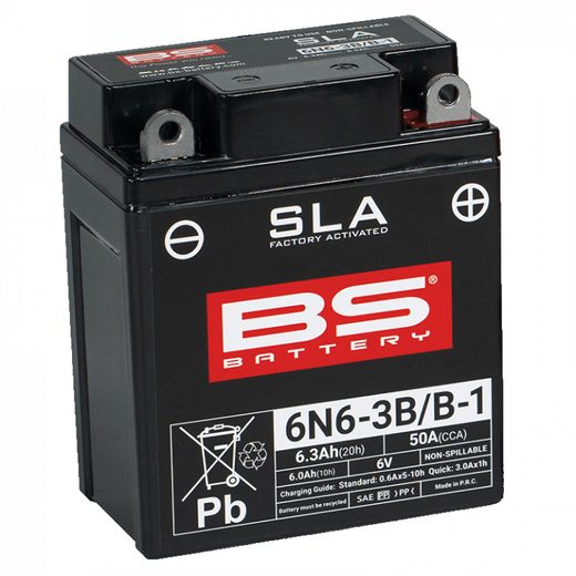 GAMYKLOJE AKTYVUOTAS AKUMULIATORIUS BS-BATTERY 6N6-3B/B-1 (FA)