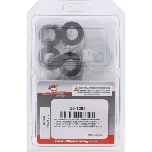 REAR INDEPENDENT SUSPENSION KIT ALL BALLS RACING 50-1263