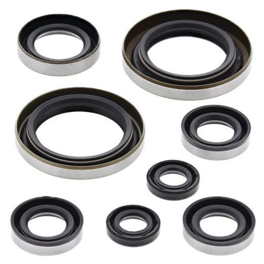 ENGINE OIL SEAL KIT WINDEROSA 822274