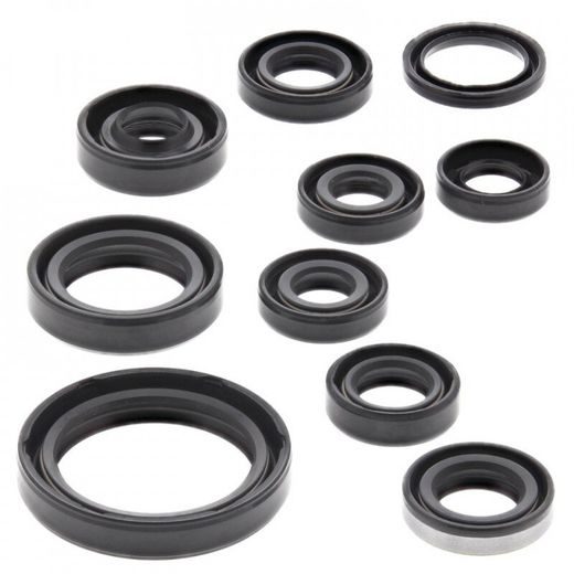 ENGINE OIL SEAL KIT WINDEROSA 822319