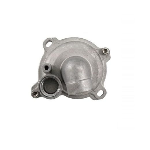 COMPLETE WATER PUMP RMS 100110650