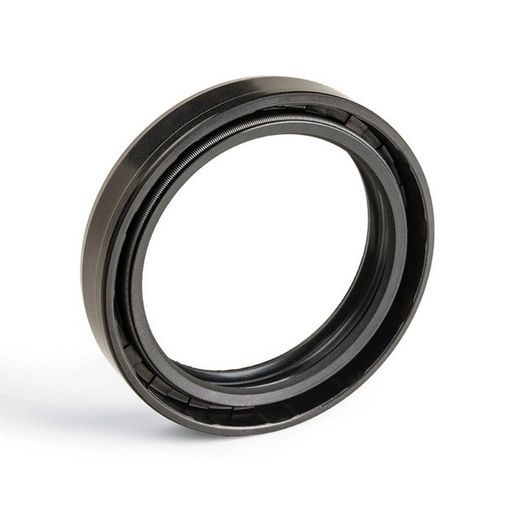 OIL SEAL ARIETE P/252 TB5 61/50 X 33 X 6
