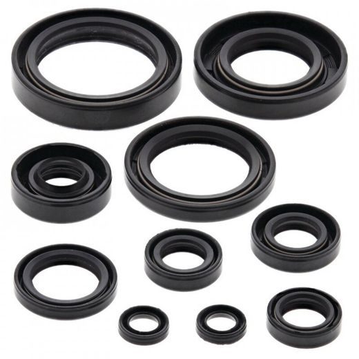 ENGINE OIL SEAL KIT WINDEROSA 822114