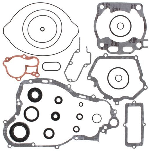 COMPLETE GASKET KIT WITH OIL SEALS WINDEROSA CGKOS 811668