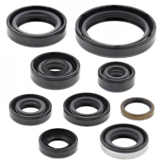 ENGINE OIL SEAL KIT WINDEROSA 822336