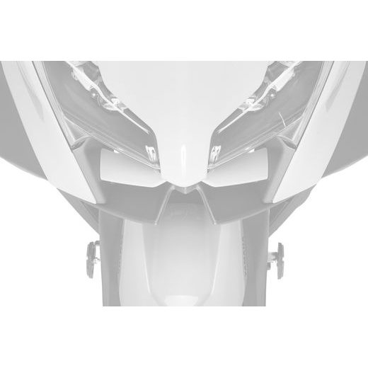 FRONTAL SPOILERS PUIG NAKED 22605C ANGLIES PLUOŠTO SPALVA