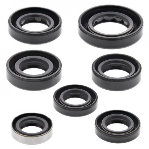 ENGINE OIL SEAL KIT WINDEROSA 822289