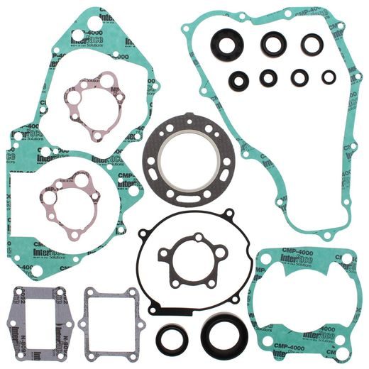 COMPLETE GASKET KIT WITH OIL SEALS WINDEROSA CGKOS 811253