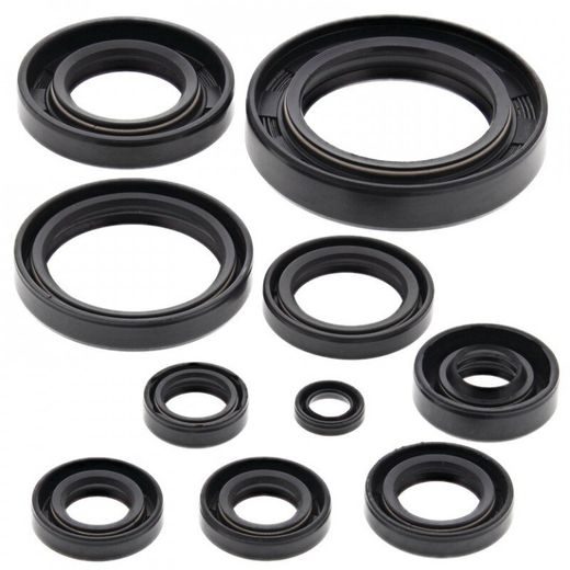 ENGINE OIL SEAL KIT WINDEROSA 822118