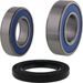 WHEEL BEARING KIT ALL BALLS RACING 25-1838