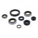 ENGINE OIL SEAL KIT WINDEROSA 822365