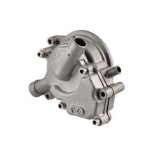 COMPLETE WATER PUMP RMS 100110760