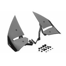 SPOILERS PUIG D12 22604C KARBONS