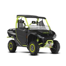 SEGWAY POWERSPORTS UTV FUGLEMAN UT10 X, ZAĻŠ/MELNS