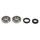 Crankshaft Rebuilding Kit ATHENA P400250444001 (bearing and oil seal kit)