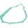 Ignition Cover Gasket WINDEROSA ICG 816828