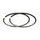 Piston rings kit RMS 100100420 55mm