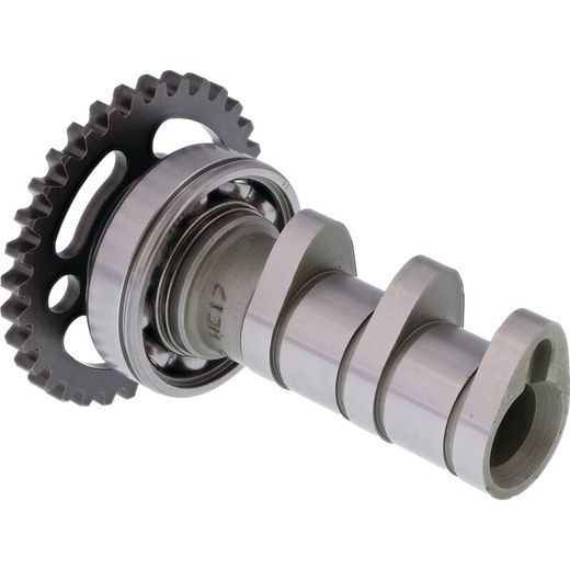 SADALES VĀRPSTAS IEPLŪDE HOT CAMS 4054-2IN