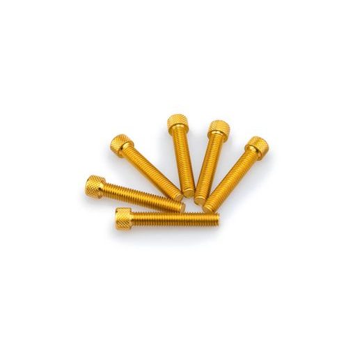 SKRŪVES PUIG ANODIZED 0516G DZELTENS M8 X 45MM (6PCS)