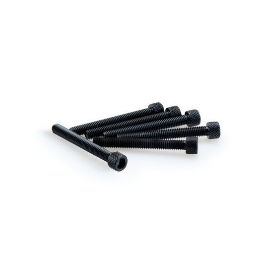 SKRŪVES PUIG ANODIZED 0421N MELNS/PELĒKS M6 X 50MM (6PCS)