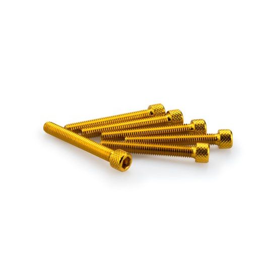 SKRŪVES PUIG ANODIZED 0370G DZELTENS M6 X 45MM (6PCS)