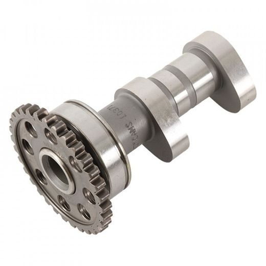 SADALES VĀRPSTAS IEPLŪDE HOT CAMS 4280-2IN