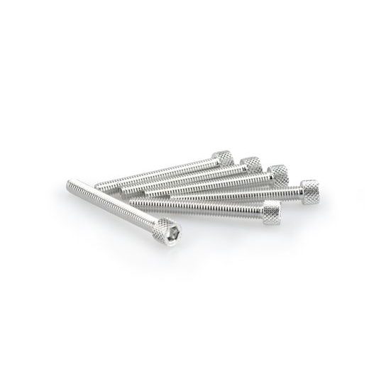 SKRŪVES PUIG ANODIZED 0421P SUDRABA M6 X 50MM (6PCS)