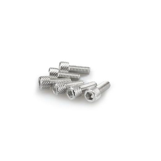 SKRŪVES PUIG ANODIZED 0363P SUDRABA M6 X 15MM (6PCS)