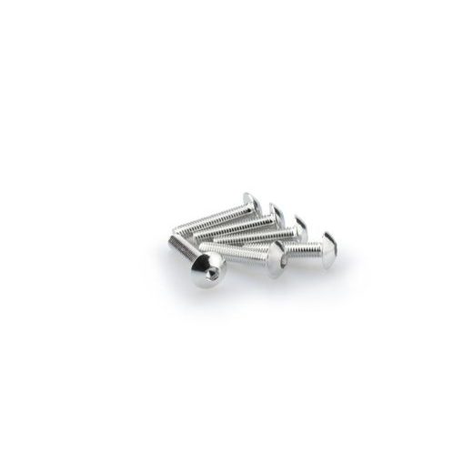 SKRŪVES PUIG ANODIZED 0610P SUDRABA M5 X 25MM (6PCS)