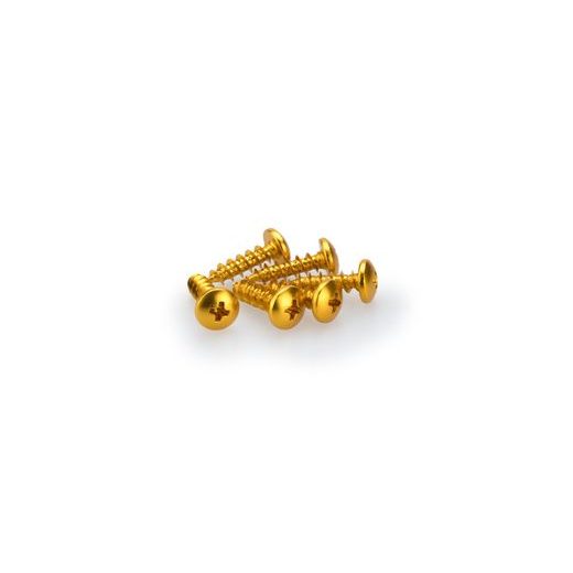 SKRŪVES PUIG ANODIZED 2542G DZELTENS M6 X 20MM (6PCS)