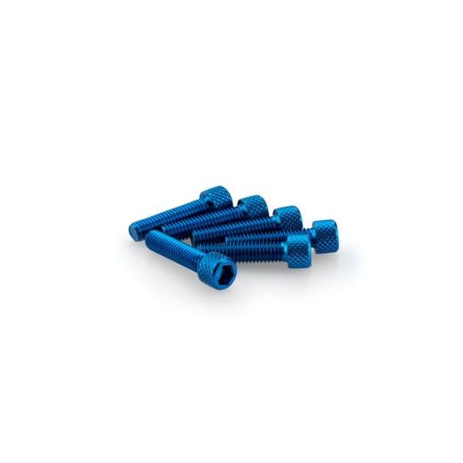 SKRŪVES PUIG ANODIZED 0544A ZILS M6 X 25MM (6PCS)