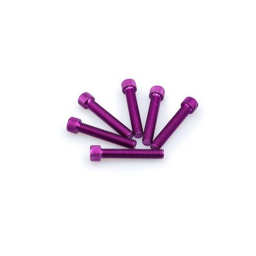 SKRŪVES PUIG ANODIZED 0516L VIOLETS M8 X 45MM (6PCS)