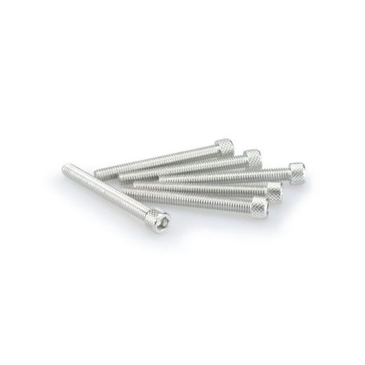 SKRŪVES PUIG ANODIZED 0446P SUDRABA M6 X 55MM (6PCS)