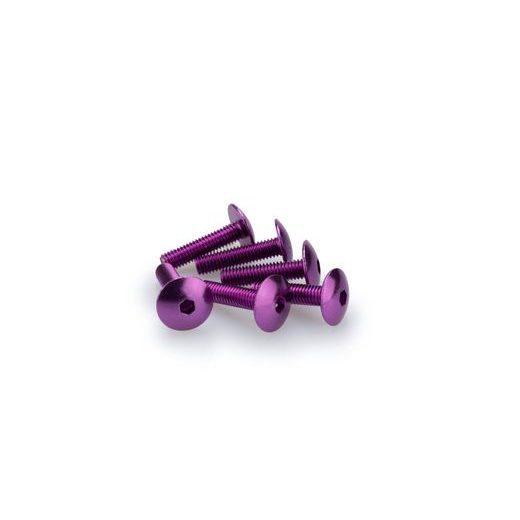 SKRŪVES PUIG ANODIZED 0689L VIOLETS M6 X 25MM (6PCS)