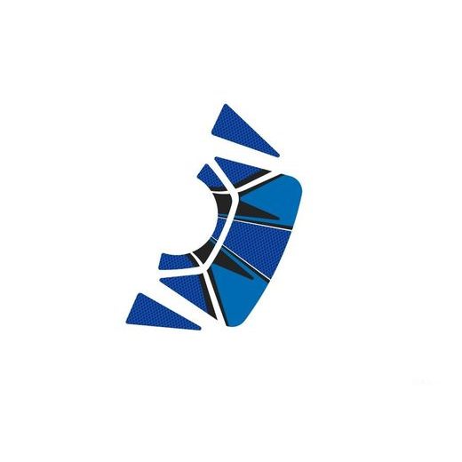 JŪGA AIZSARGS PUIG RADIKAL 8316A ZILS