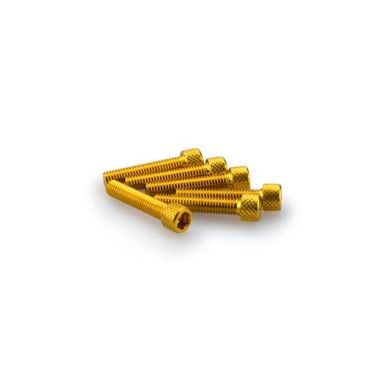 SKRŪVES PUIG ANODIZED 0258G DZELTENS M6 X 30MM (6PCS)