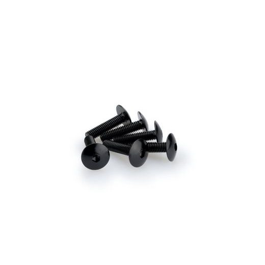 SKRŪVES PUIG ANODIZED 0689N MELNS/PELĒKS M6 X 25MM (6PCS)