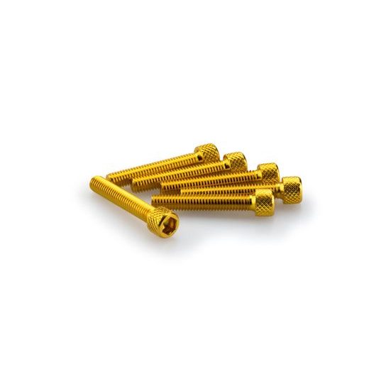 SKRŪVES PUIG ANODIZED 0346G DZELTENS M6 X 35MM (6PCS)