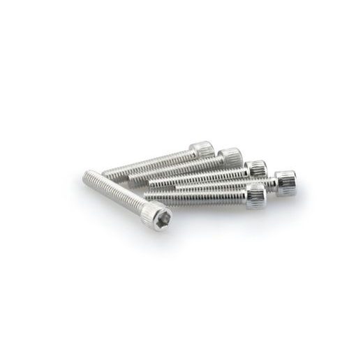 SKRŪVES PUIG ANODIZED 0346P SUDRABA M6 X 35MM (6PCS)
